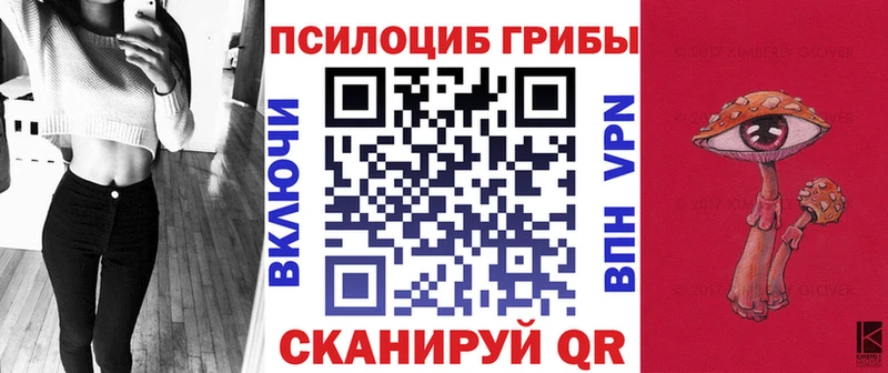 Купить где Городец Псилоцибиновые грибы Cubensis