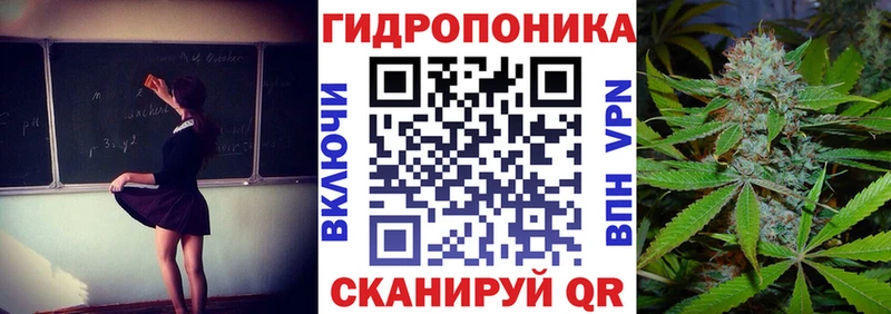 Купить закладки  Городец  Бошки Шишки SATIVA & INDICA 